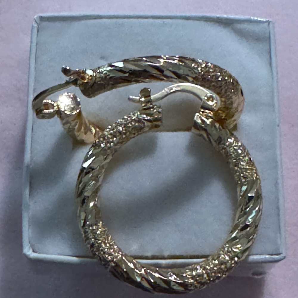 Elegant Gold Hoop Earrings